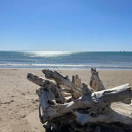 Holiday home Del Mascherino *